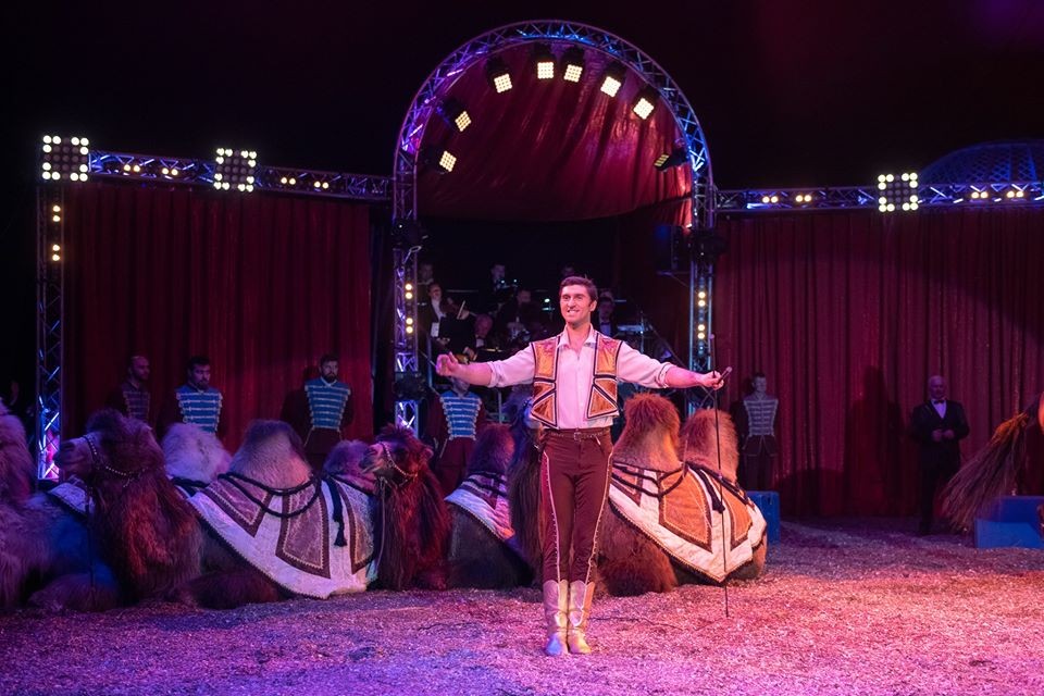 Cirkuszi előadások az interneten