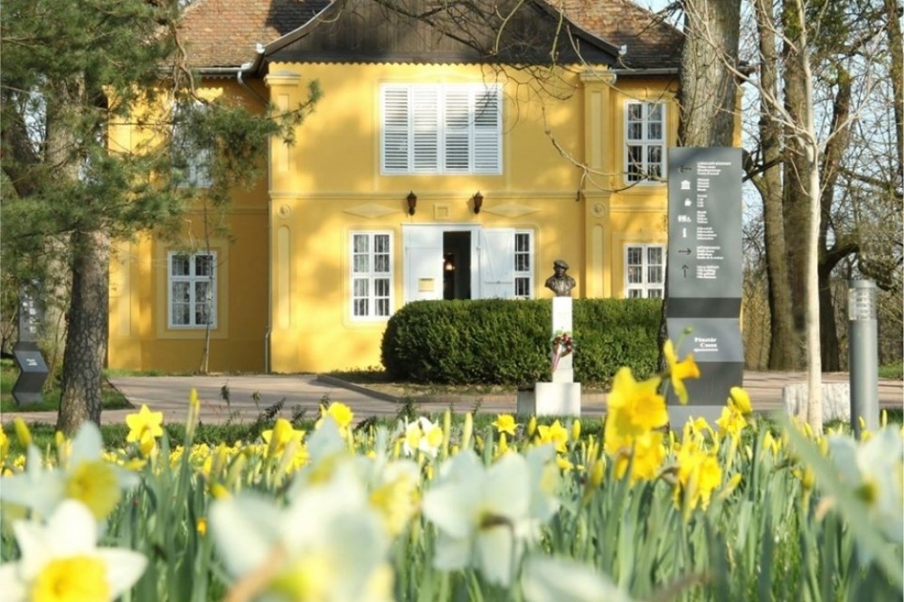 Nárciszünnep Kaposváron