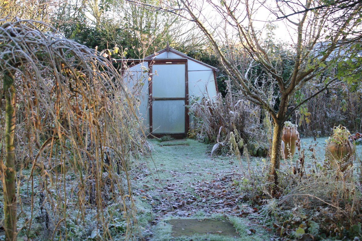 Télies lesz a hét első fele