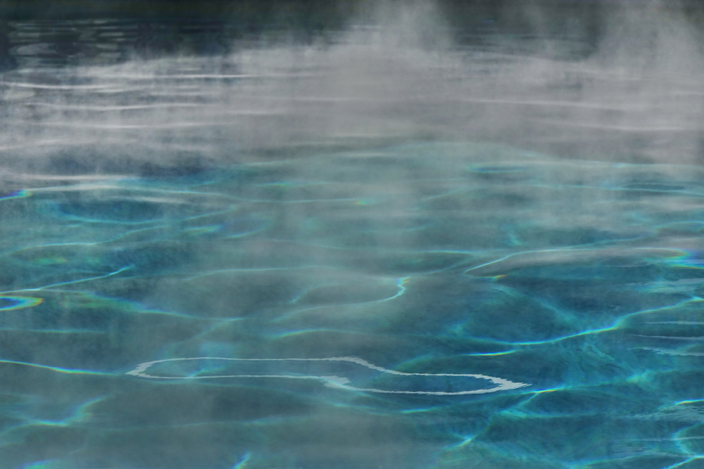 Metángázas kiserőművet adtak át Bábolnán