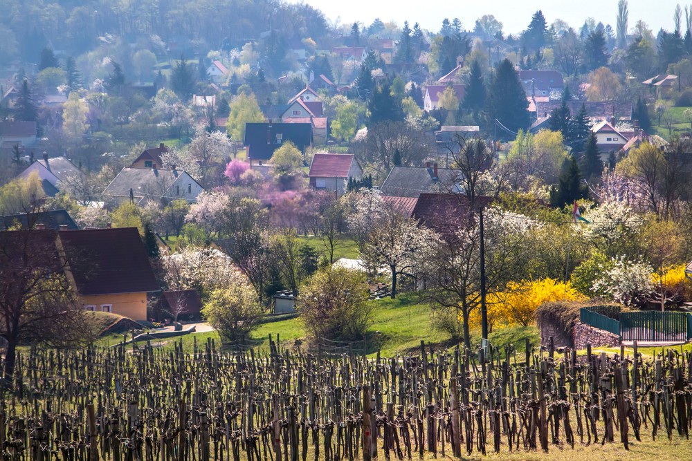 Új pályázatok a Magyar falu programban