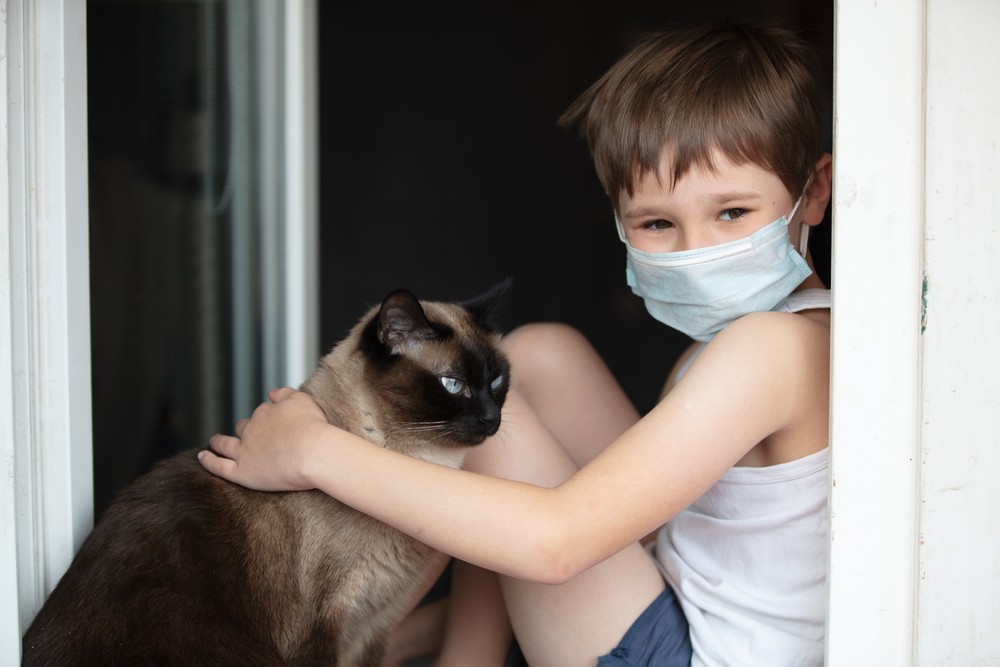 Biztonságra van szükségük