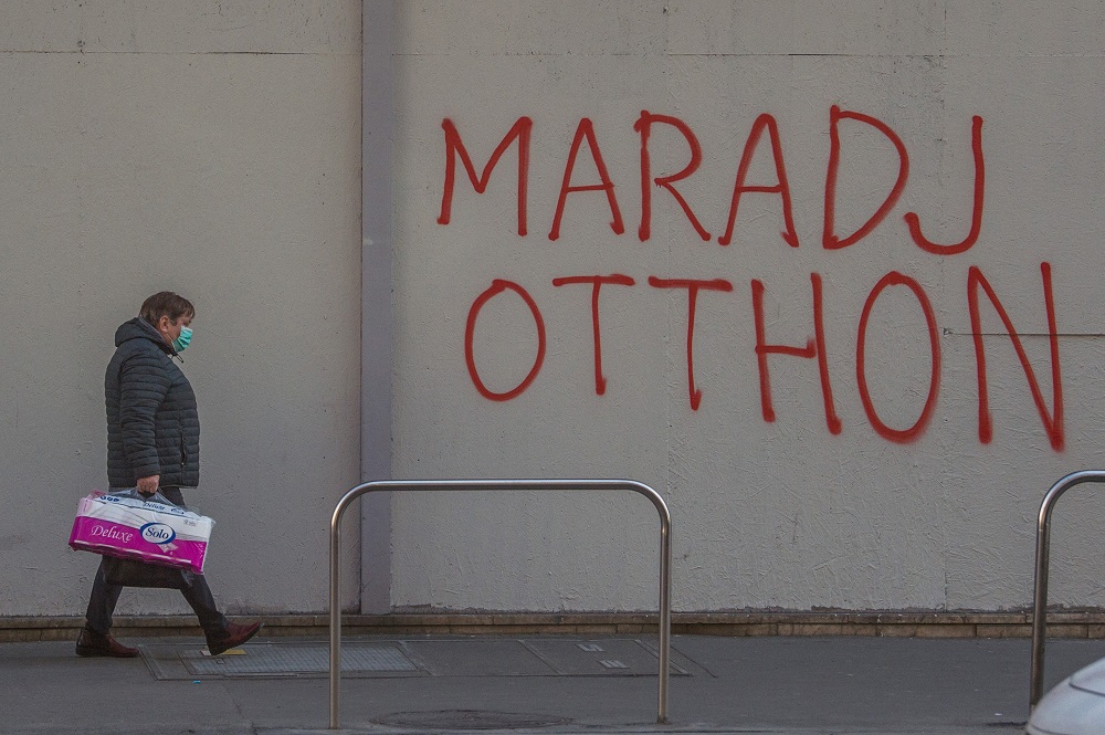 A Professzorok Batthyány Köre közleménye