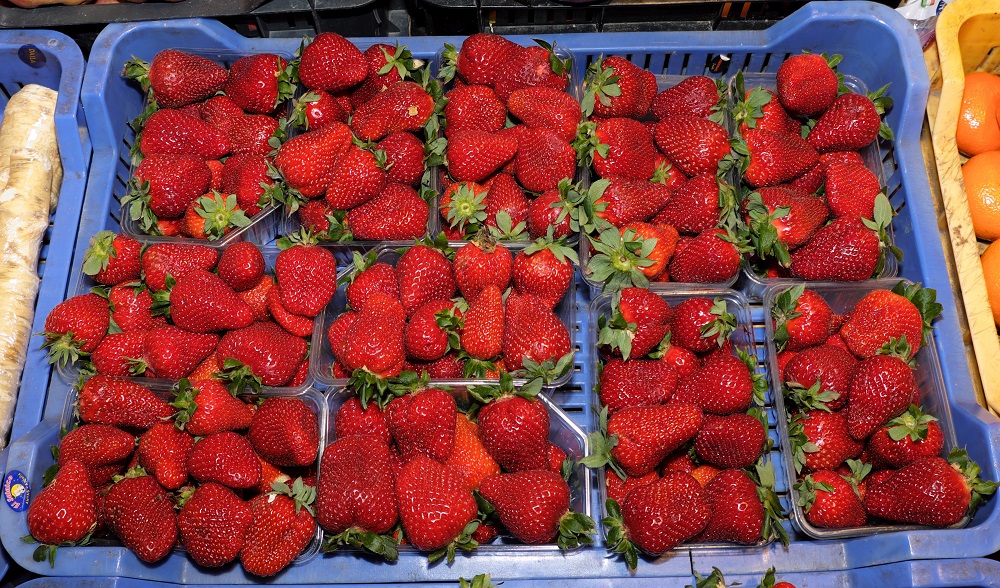 A hétvégétől már kapható a friss magyar szamóca