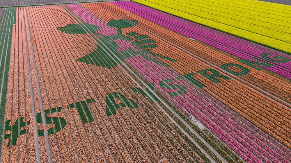 Belgiumban ötven-, Hollandiában negyvenezer felett a fertőzöttek száma