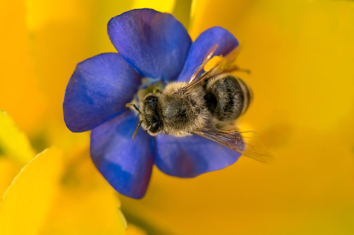 Ilyen még nem volt Magyarországon! Miniszteri bejelentés