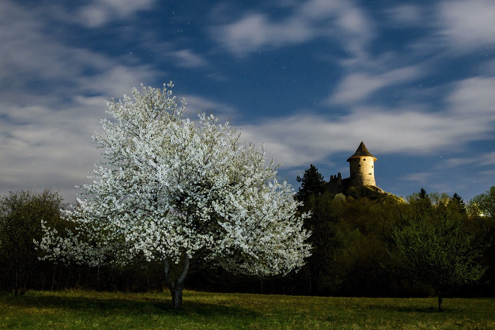 Erdei iskolákat alakítottak szlovák és magyar erdőgazdaságok közösen