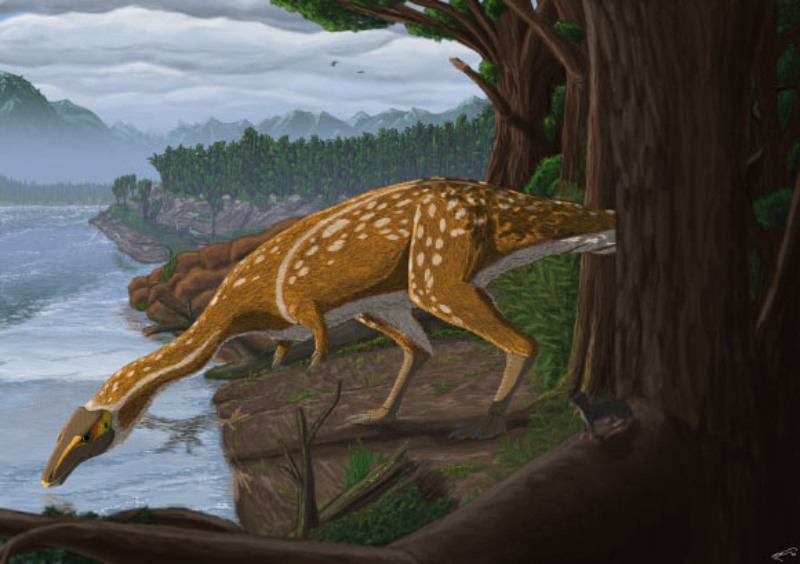 Húsevő dinoszaurusz maradványaira bukkantak