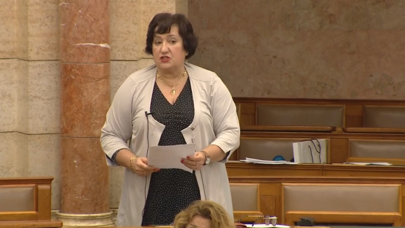 Gurmai Zita: prevenció kellene iskolaőrök helyett