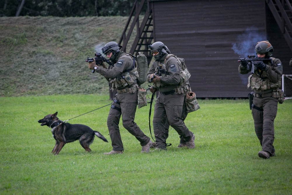 Szolgálati kutyákat és kiképzőiket díjazták