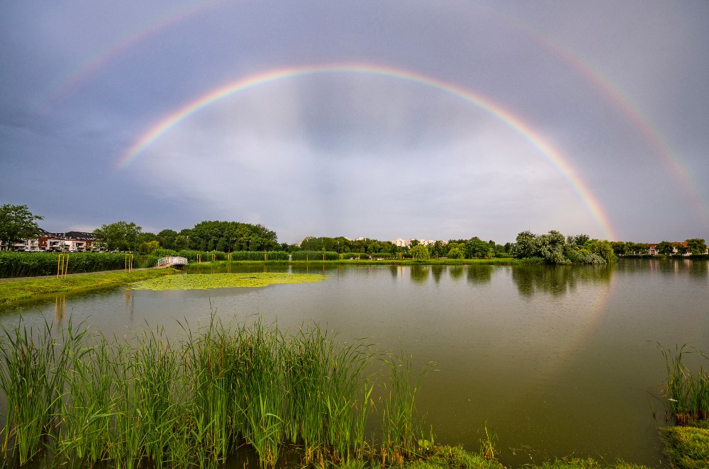 Szivárvány Nyíregyházán