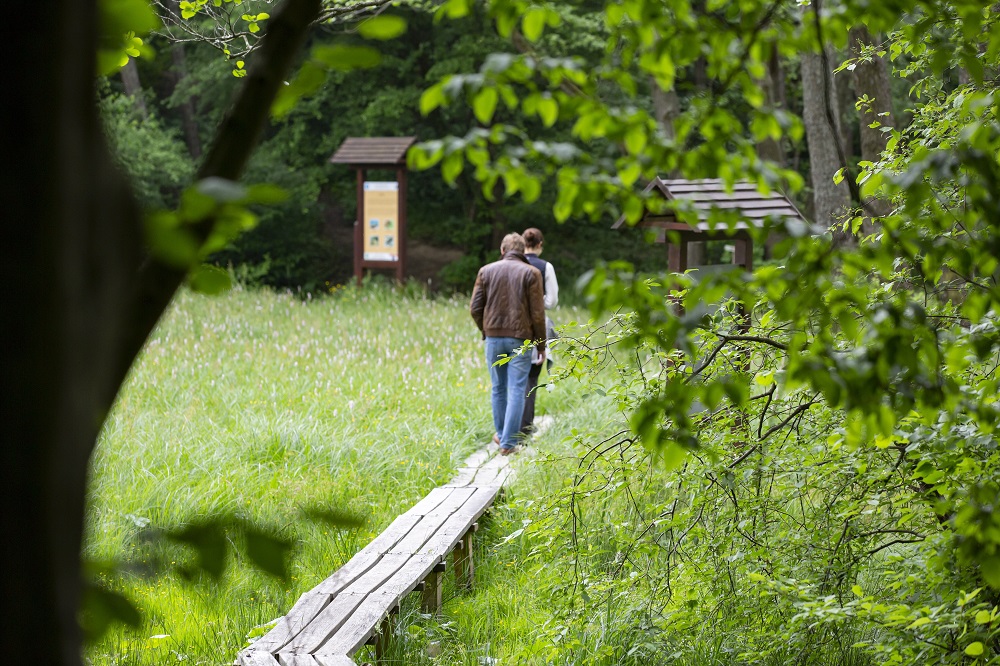 Májusban újraindult a belföldi turizmus
