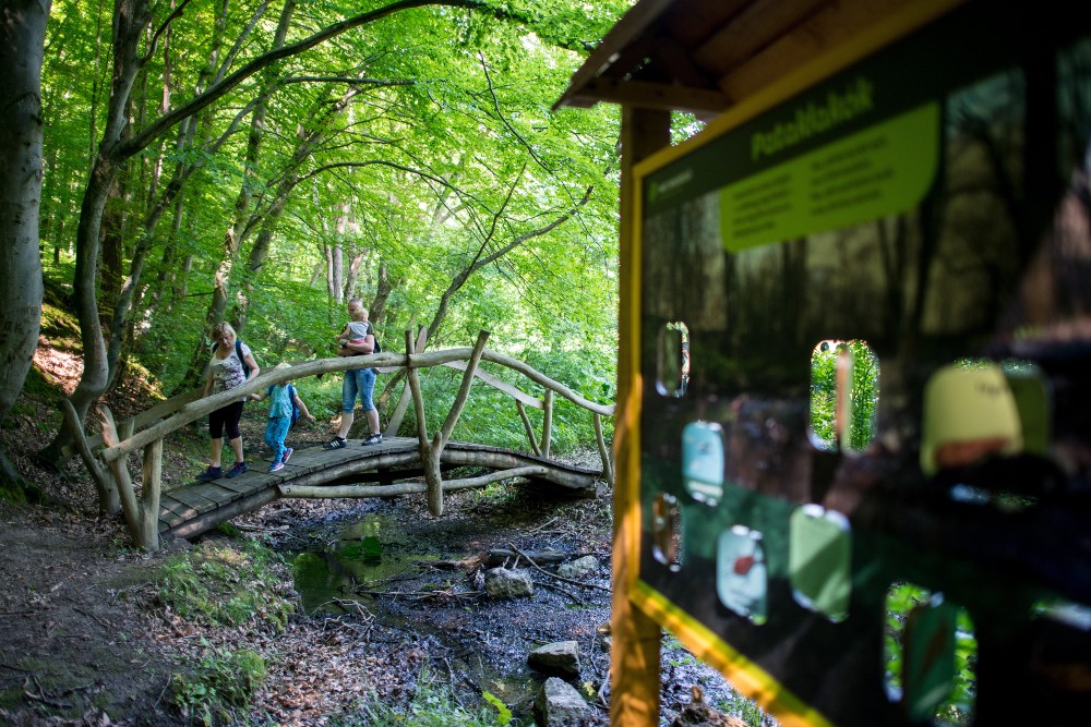 Rejtett kincseket mutat be az új tanösvény Hetvehelyen