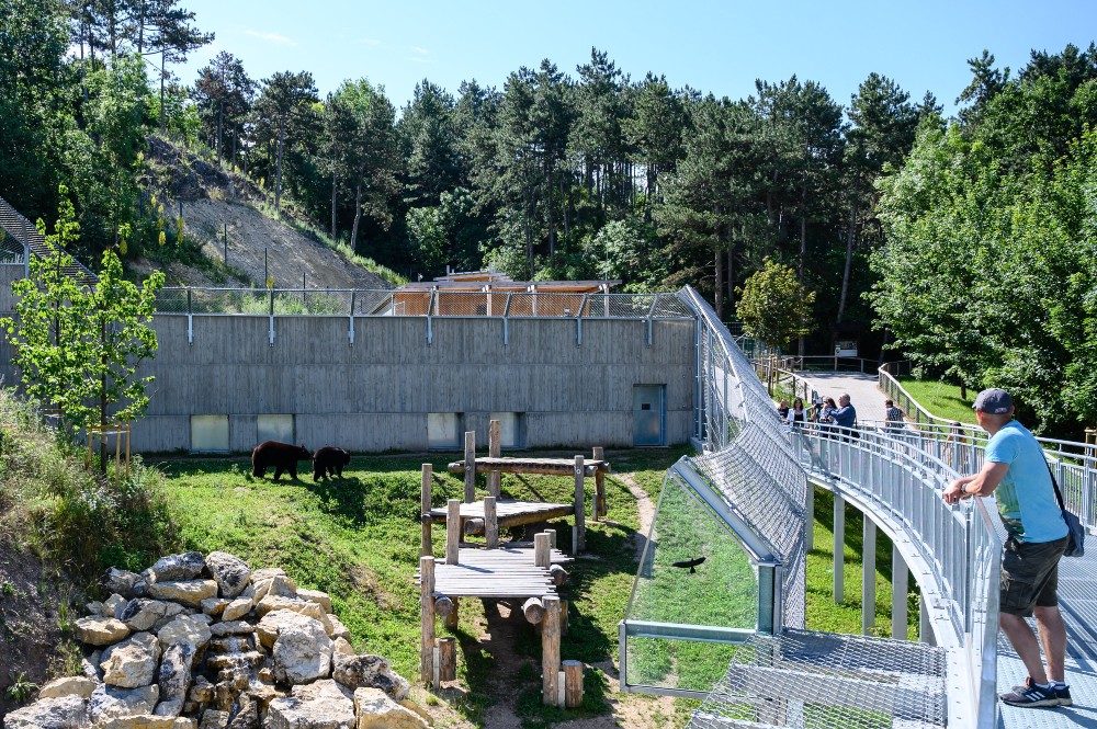 Új medvekifutót és -házat adtak át Veszprémben