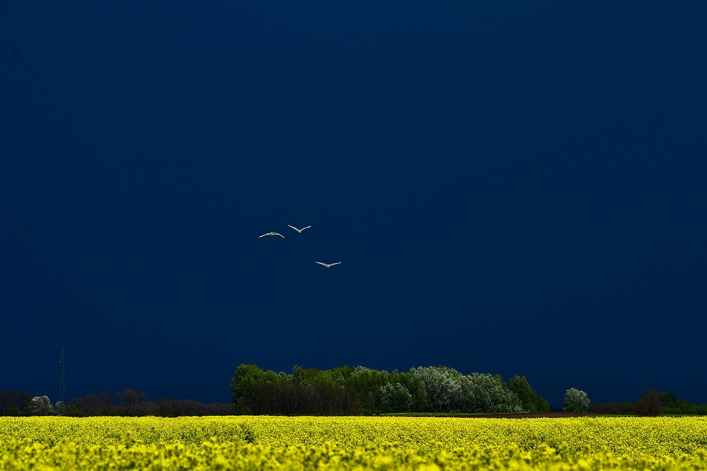 Többfelé már másodfokú a riasztás a zivatarveszély miatt