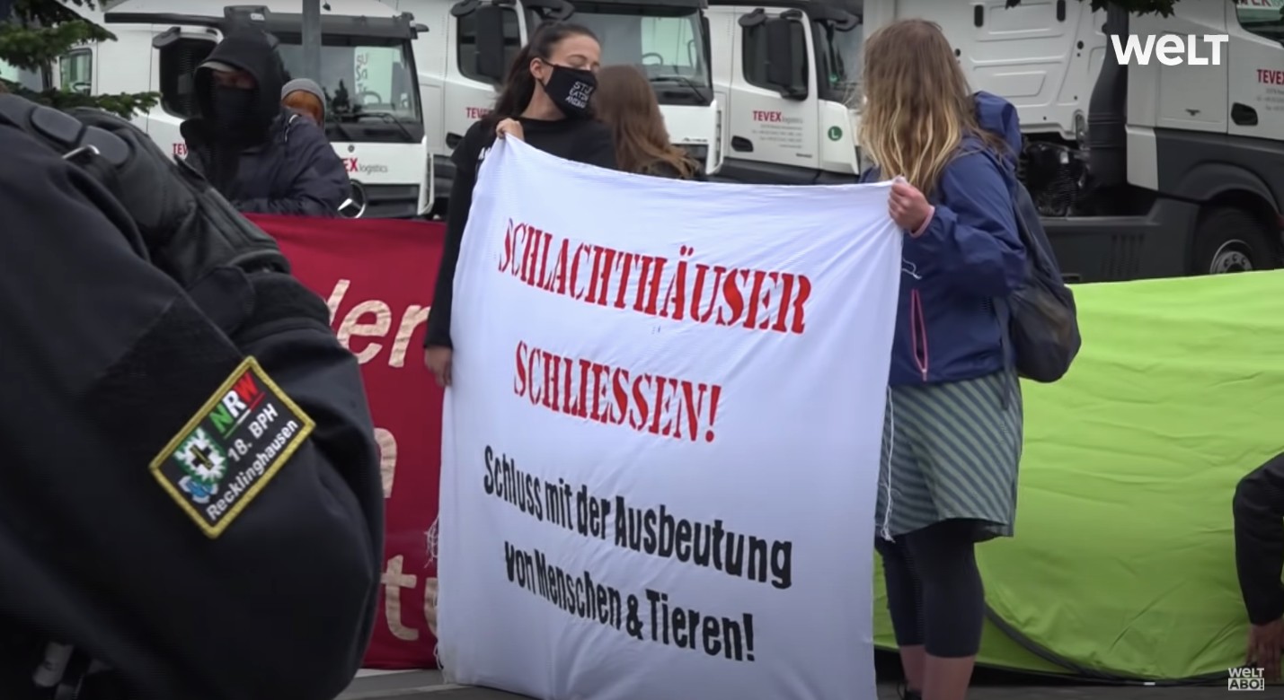 Aktivisták tiltakoztak a járványgóccá vált vágóhídnál