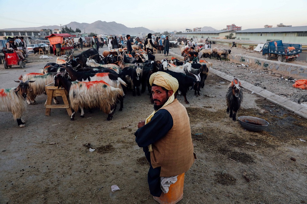 Egyharmados fertőzöttségi arány Afganisztánban