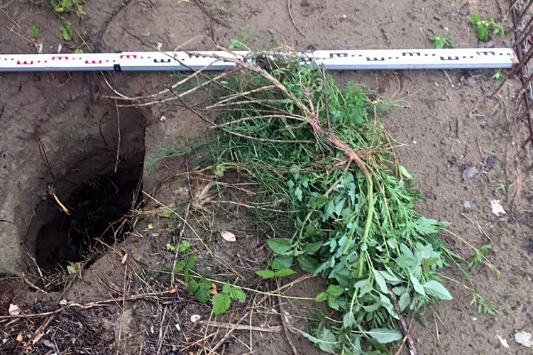 Újabb migránsalagút Csongrád-Csanád megyében