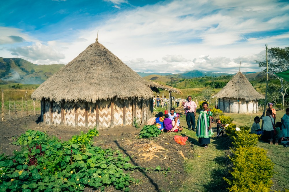 Több mint 13 ezer növényfaj létezik Új-Guineán