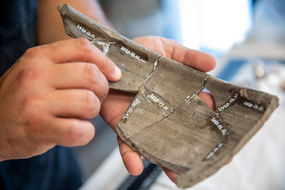 Sok ezer tárgy került elő a tram-train vonalán végzett ásatásokon