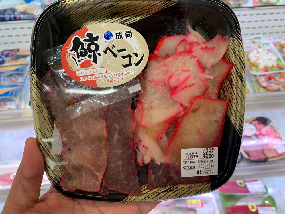 Megkezdődött az éves delfinvadászat Japánban