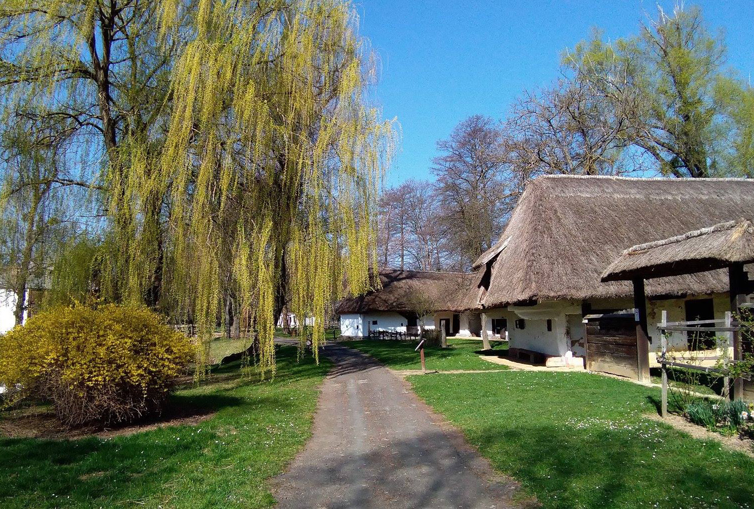 Több milliárdos múzeumfejlesztés kezdődött Zalaegerszegen