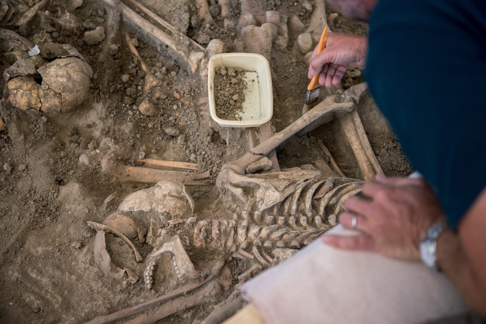 Tömegsír vázait emelik ki Mohácson