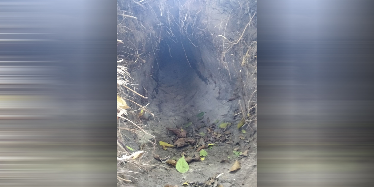 Újabb alagutat fedeztek fel a rendőrök a magyar-szerb határon (VIDEÓ!)