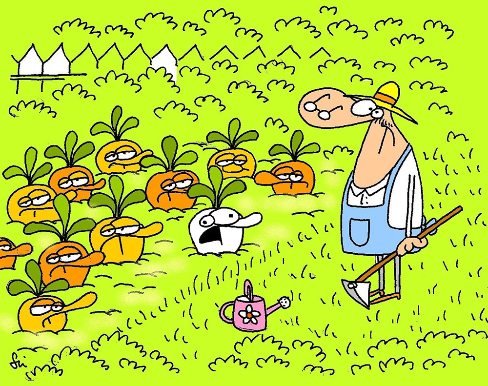 Rettegő fehérrépa