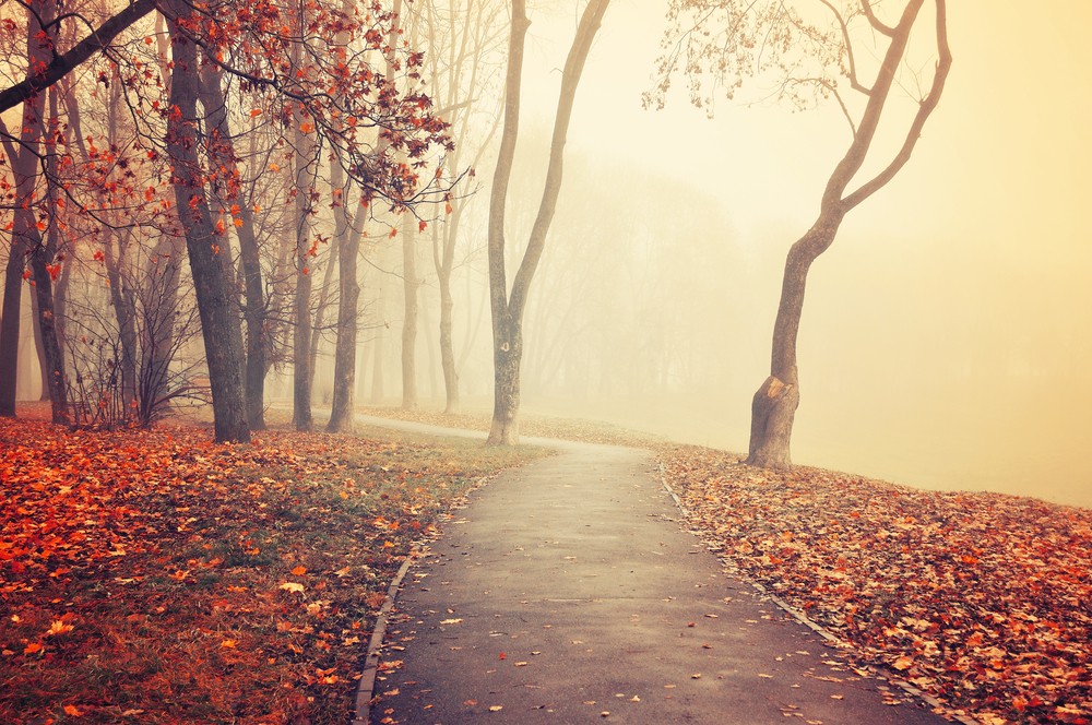 Borús lesz az időjárás október utolsó hetében