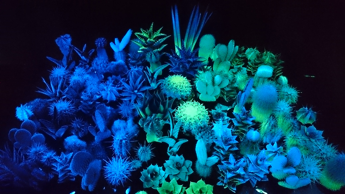 Barátságban a baktériumokkal