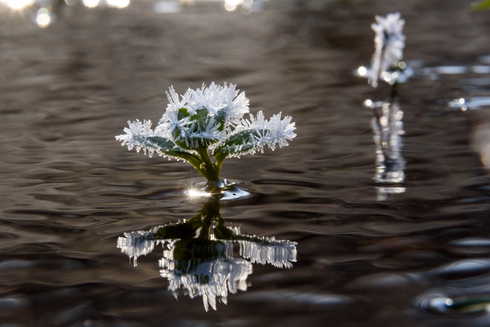 Az ősz leghidegebb reggele
