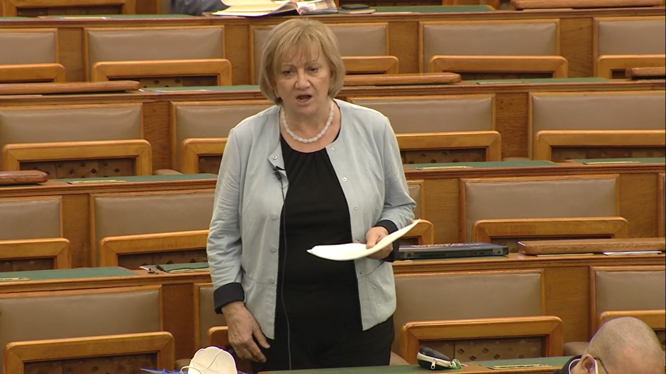 Schmuck Erzsébet: A kormány nőjön fel a feladathoz!