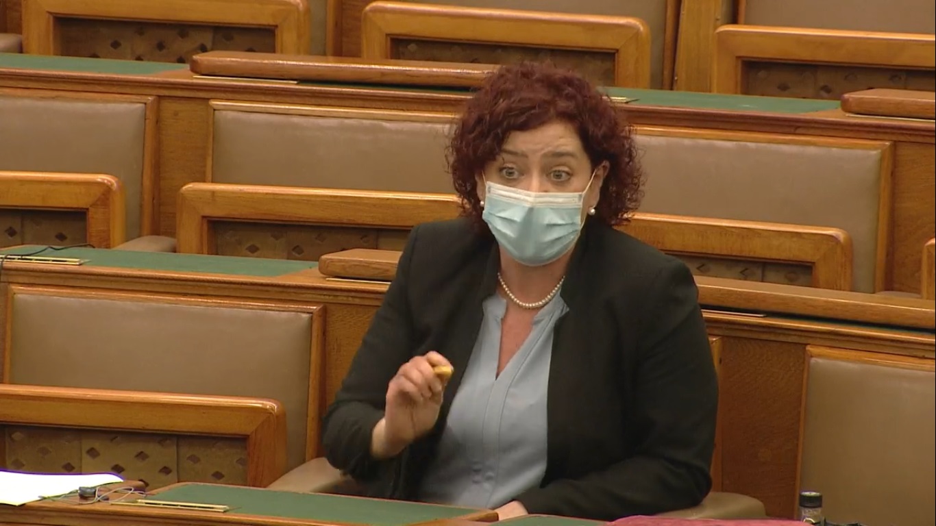 Lehülyézte a népszavazáson résztvevőket Vadai Ágnes