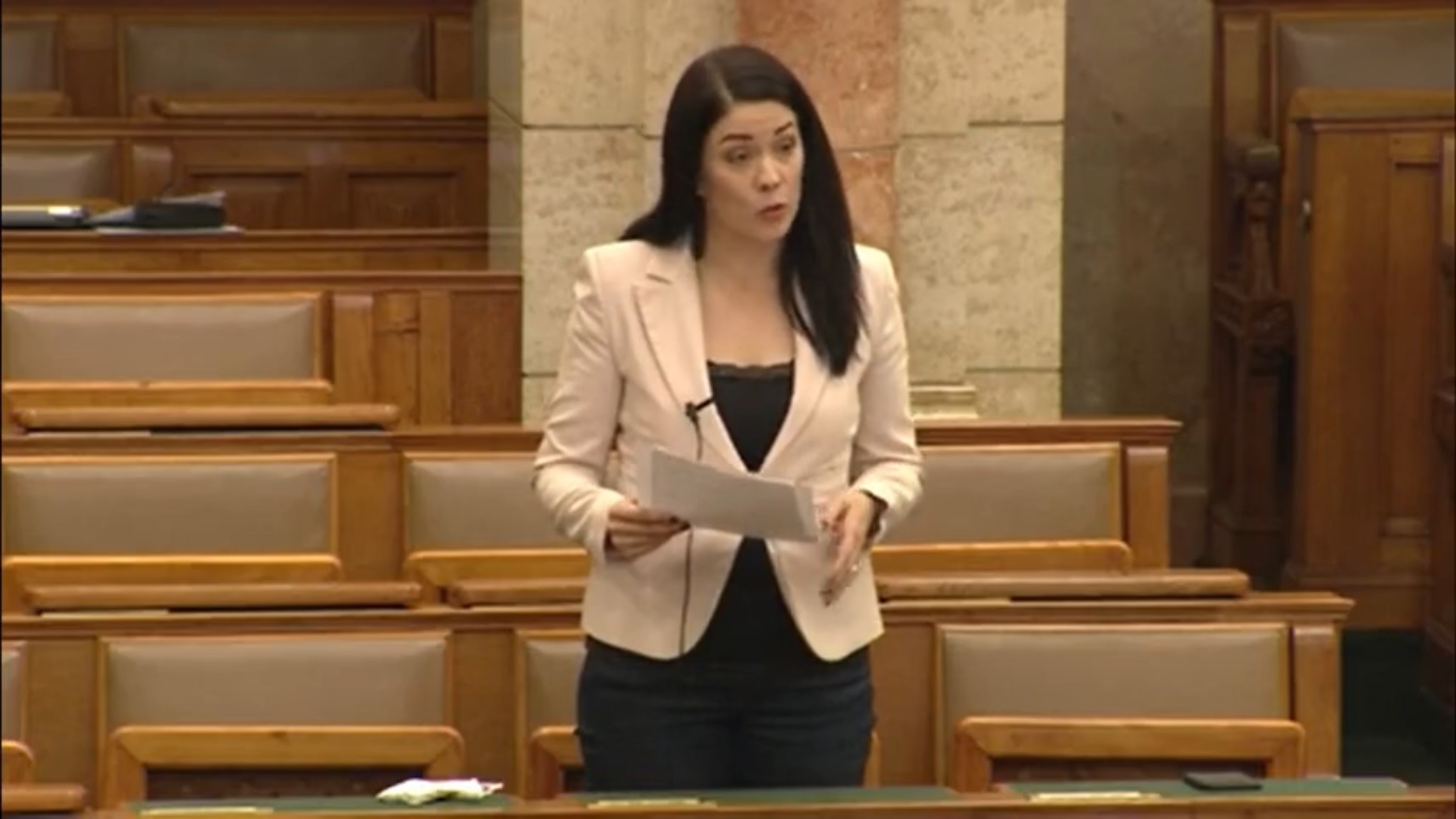 Demeter Márta: Látszik, hogy a kormány retteg