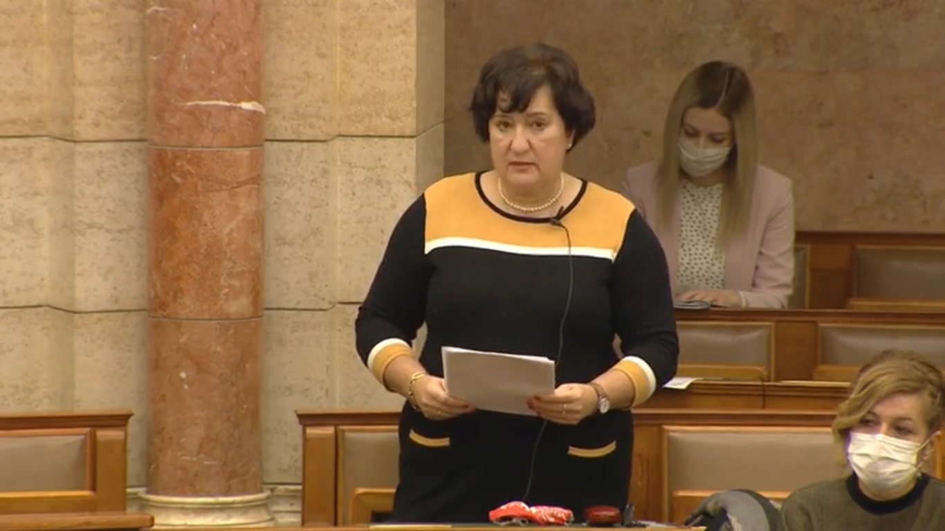 Gurmai Zita: a kijárási tilalomnak gyilkos következménye lehet