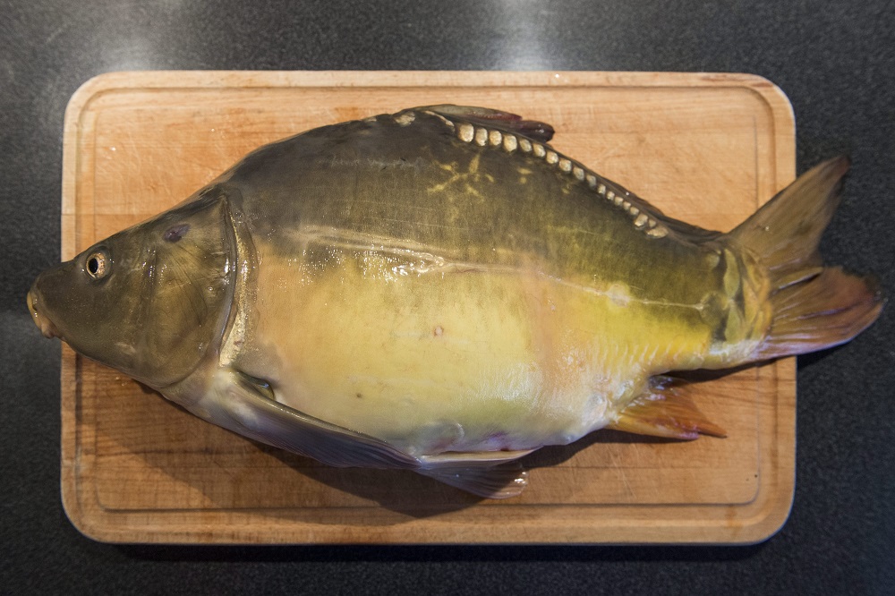 Az éves halfogyasztás meghatározó része karácsonyhoz köthető