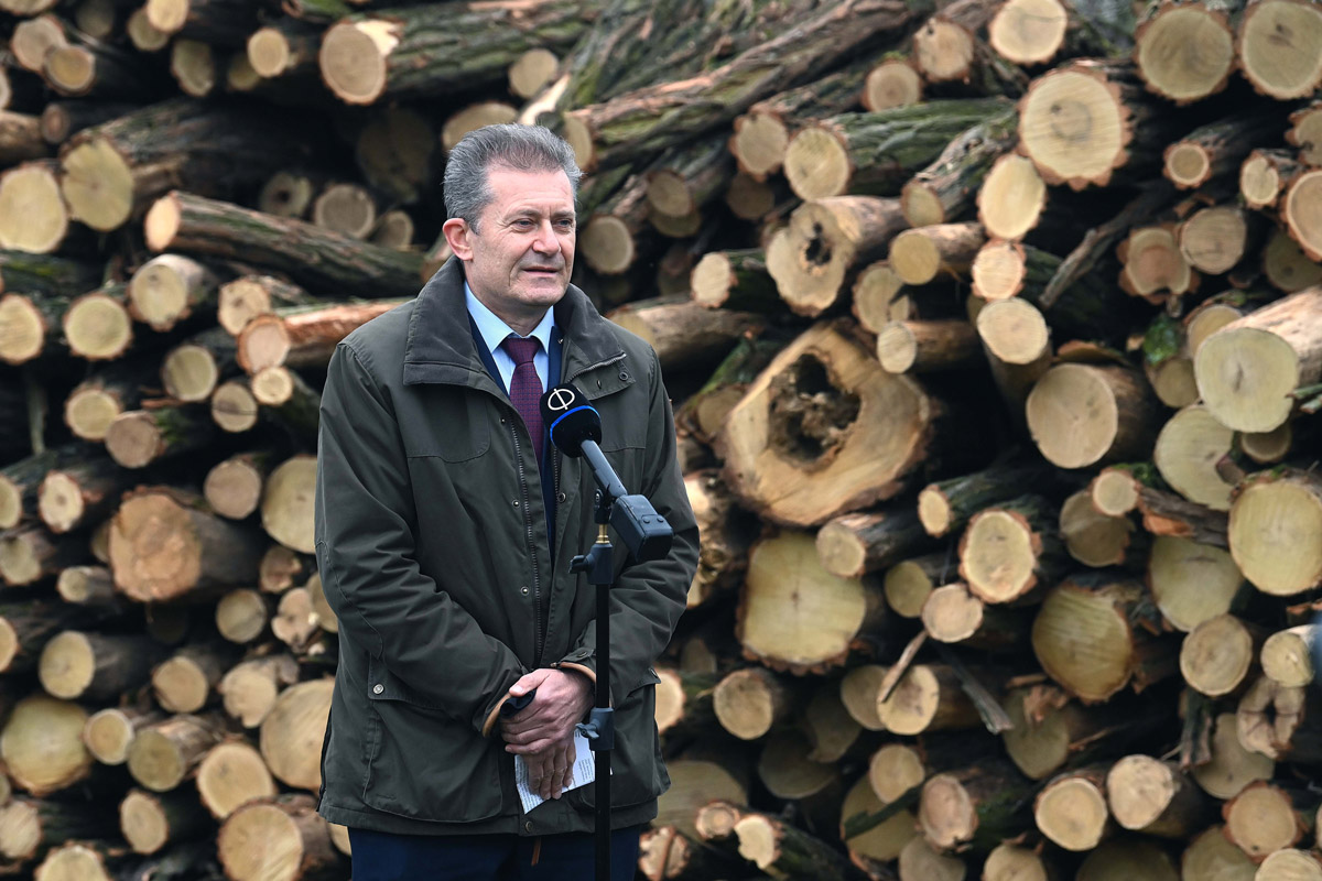 Az ünnepekre a legtöbb rászorulóhoz eljut a szociális tűzifa