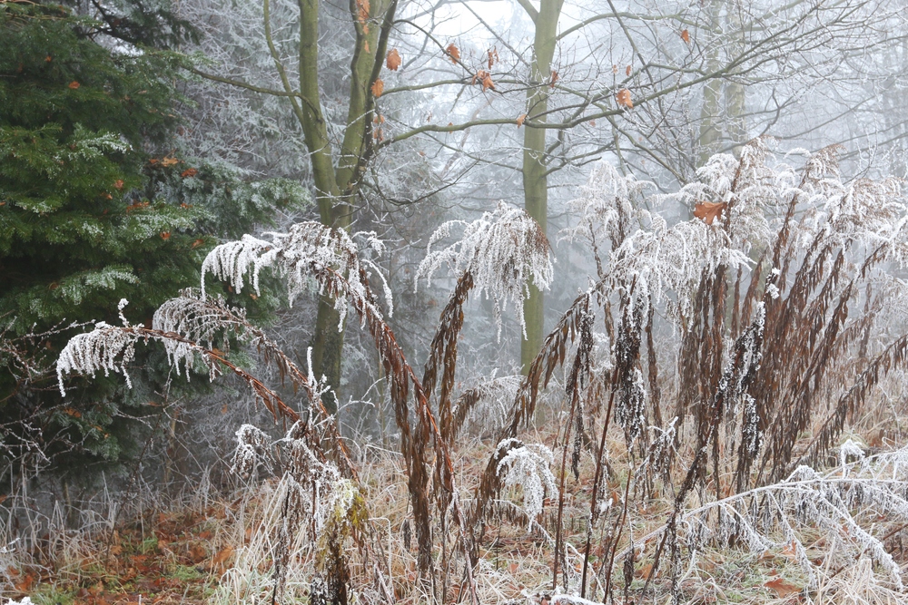 Karácsonykor fordulhat téliesebbre az időjárás