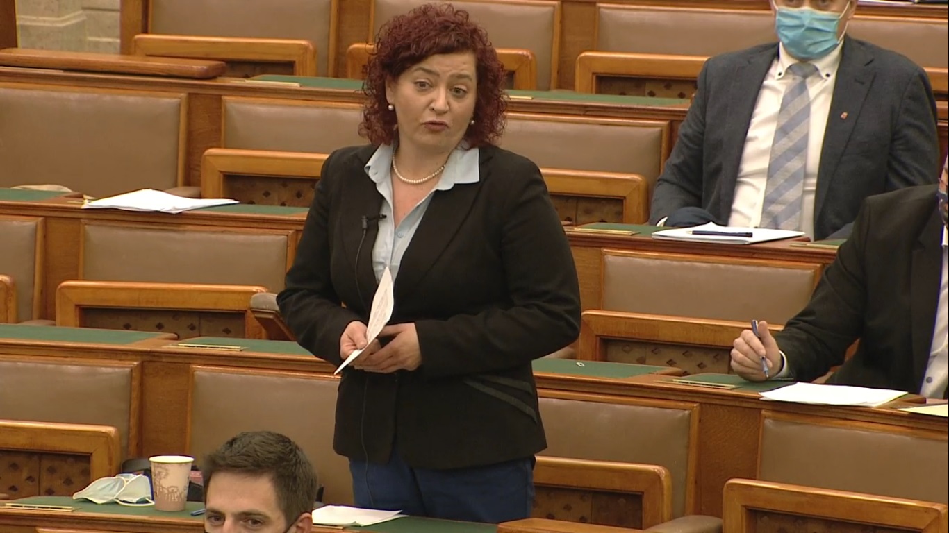 Vadai: Esetleg ettől fél, miniszterelnök úr?