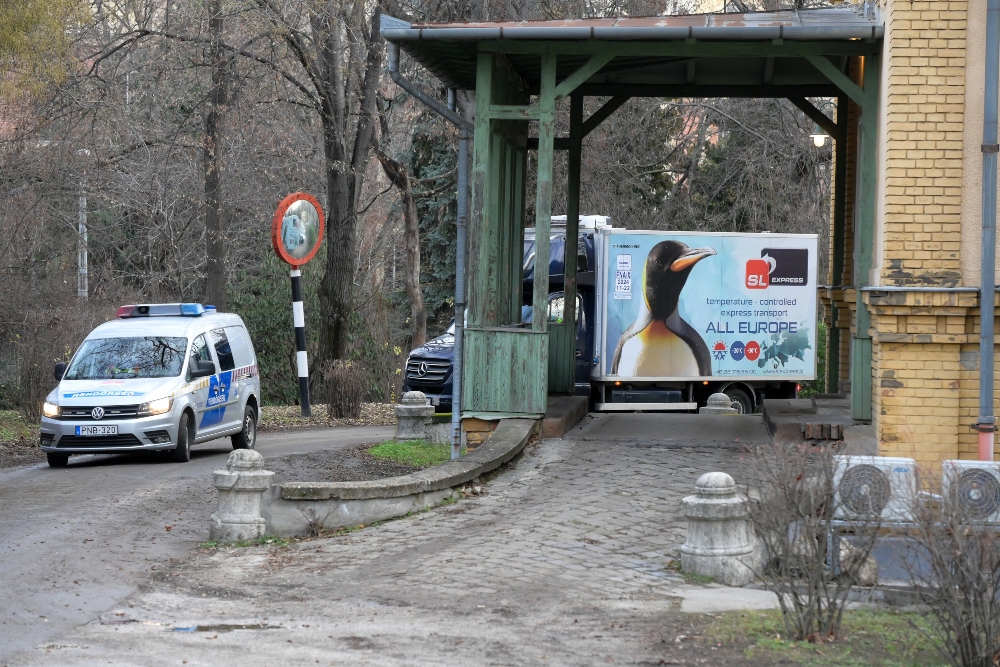 Megérkezett a vakcina Magyarországra