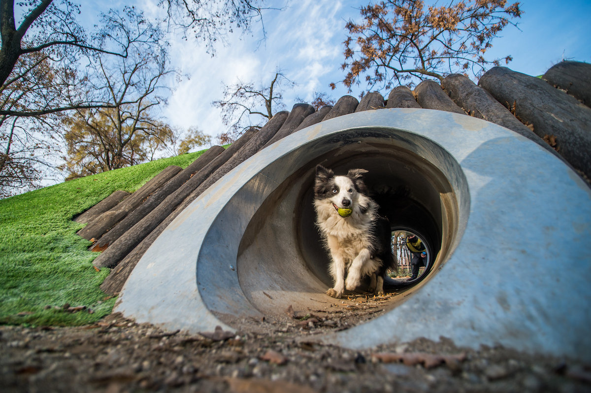 Videó: elkészült a botanikus kert, a kutyás élménypark és a futókör