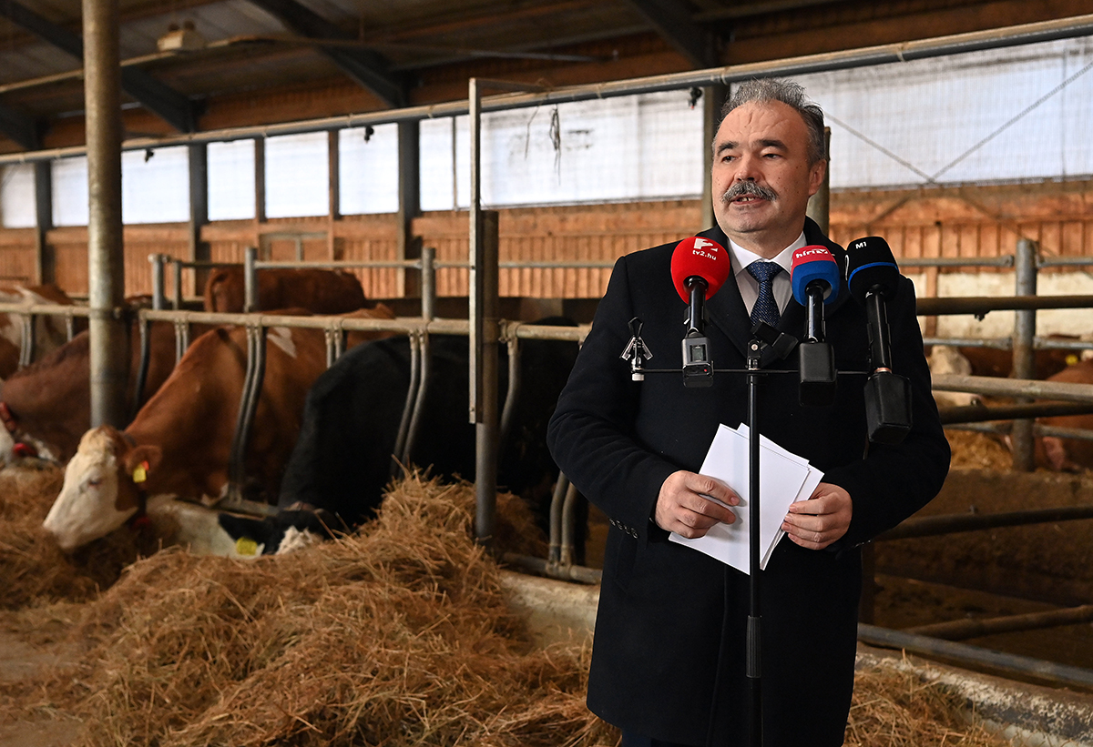 Történelmi vidékfejlesztés