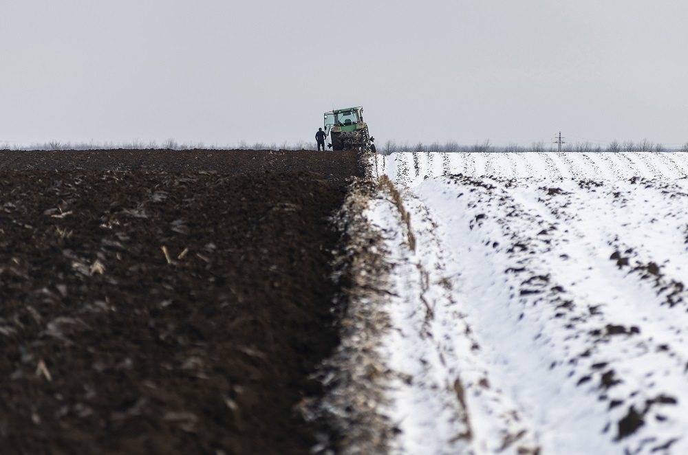 Téli szántás