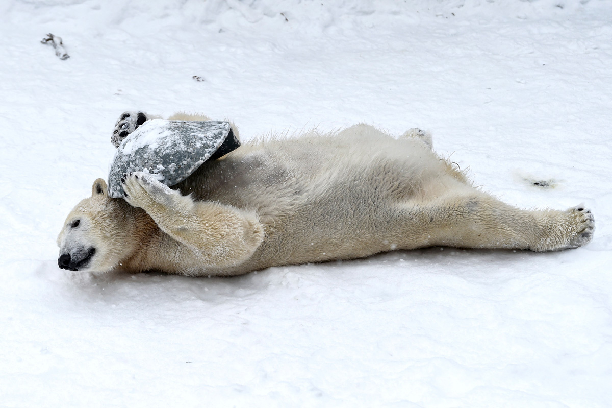 Téli idő Németországban