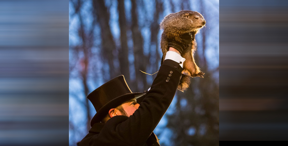 Még hat hétig tartó telet jósolt a híres mormota Észak-Amerikában