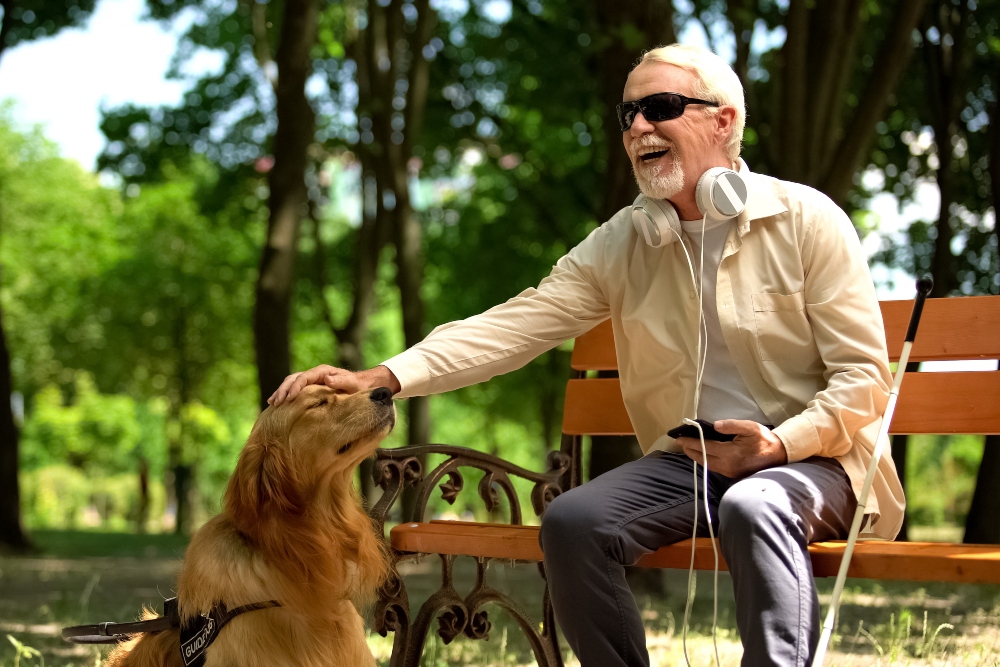Új fejezethez érkezett a látássérültek támogatása