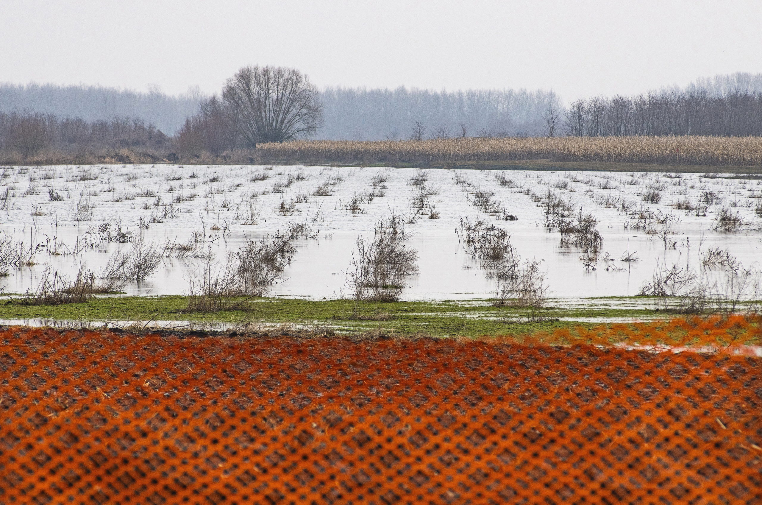 Próbára tette a februári időjárás a vízügyi szervezetet