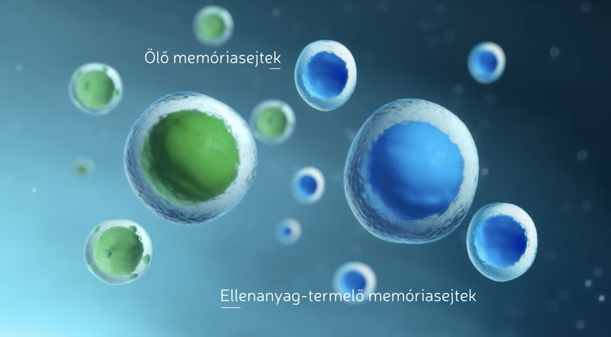 Így véd meg minket a koronavírus elleni vakcina