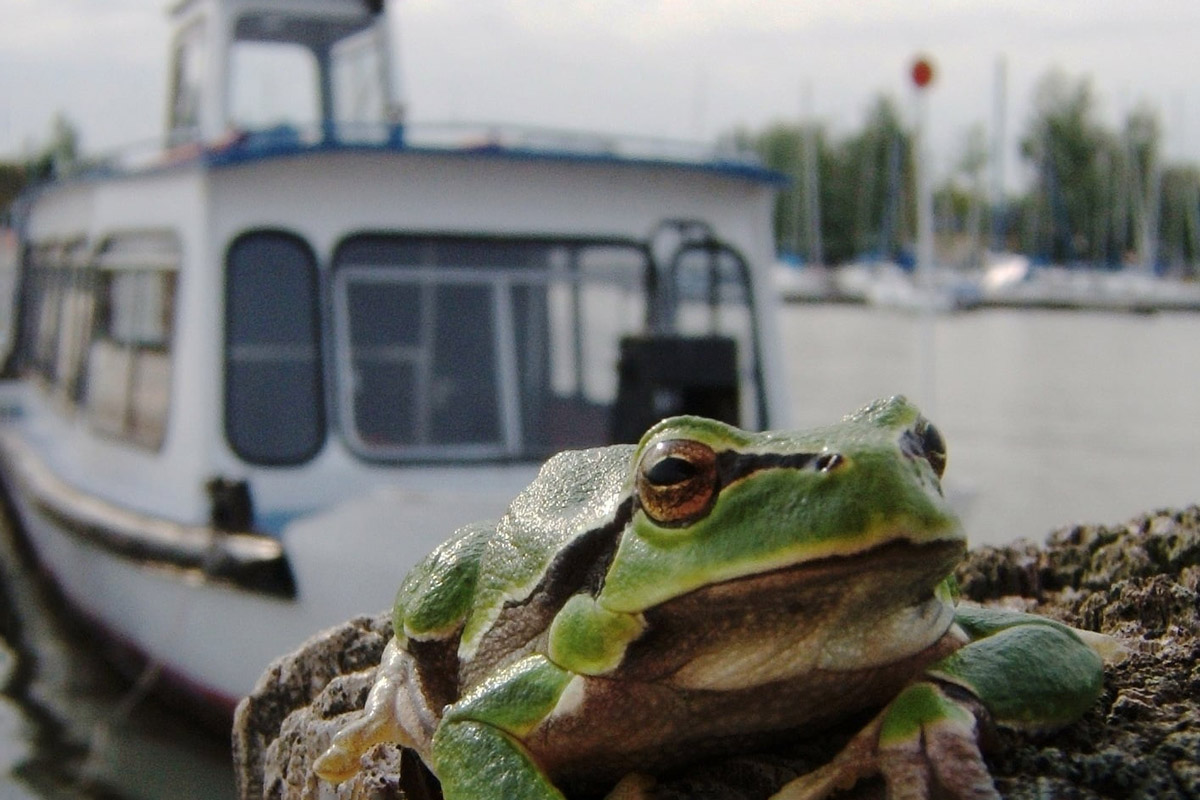 Újjászületik a közkedvelt sétahajó